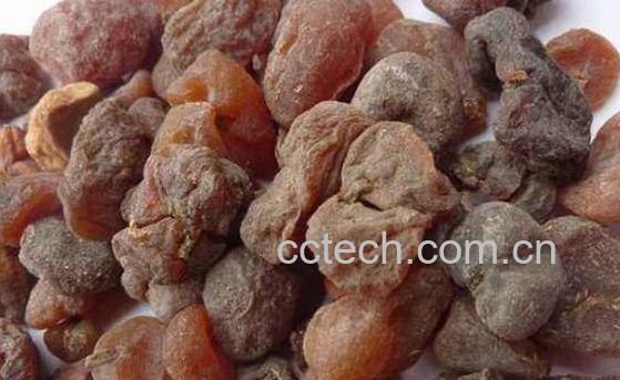 土贝母的功效与副作用-1