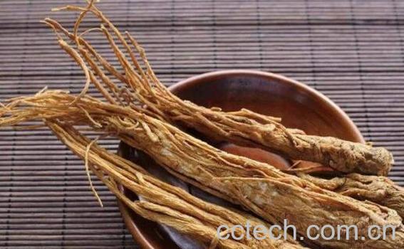 云南西归的功效与作用-0