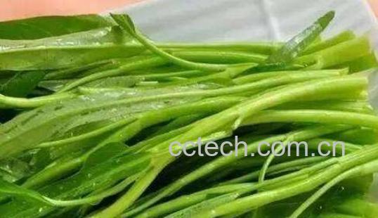 蕹菜的功效与作用及禁忌-0