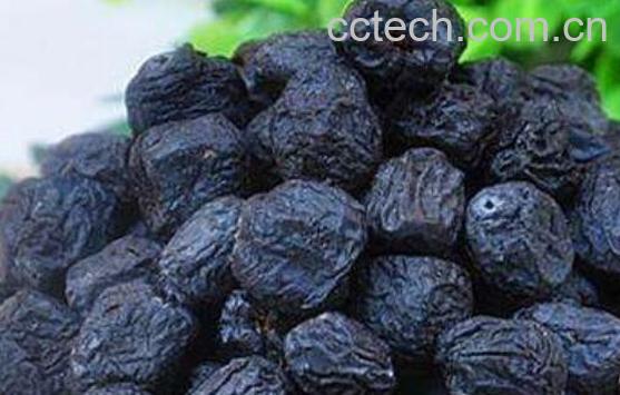 君迁子的功效与作用及副作用-0