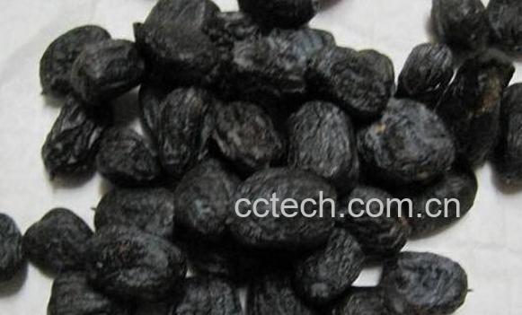 君迁子的功效与作用及副作用-1