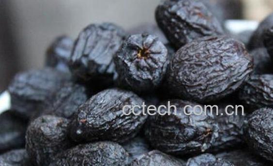 君迁子的药用价值及禁忌-0