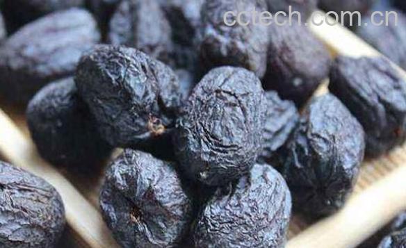 君迁子的药用价值及禁忌-1