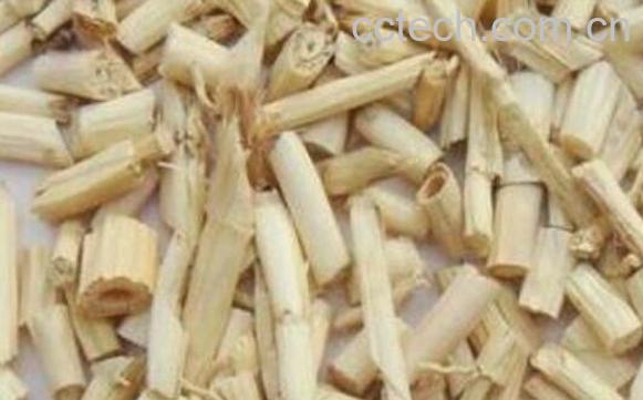 白茅根泡水喝的功效 白茅根的禁忌-0