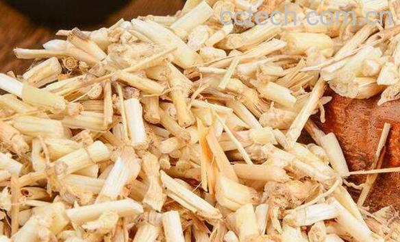 白茅根泡水喝的功效 白茅根的禁忌-1