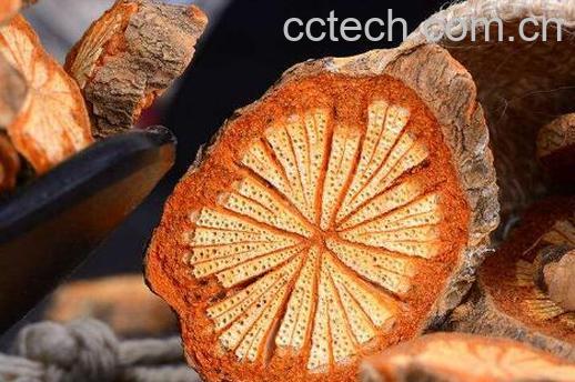 红藤的功效与作用及禁忌-0