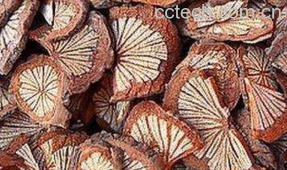 红藤的功效与作用及禁忌-1