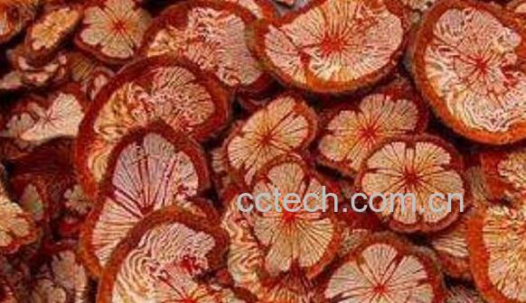 大血藤的功效与作用及禁忌-0