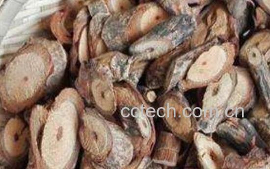 小血藤的功效与作用 小血藤有什么用途-0