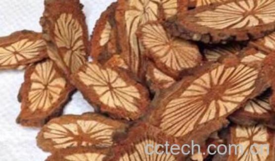 大血藤的功效与作用及禁忌-1