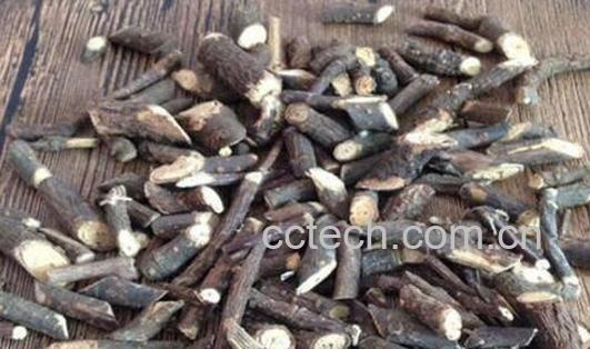 黑骨头的禁忌有哪些 黑骨头对身体的危害-1