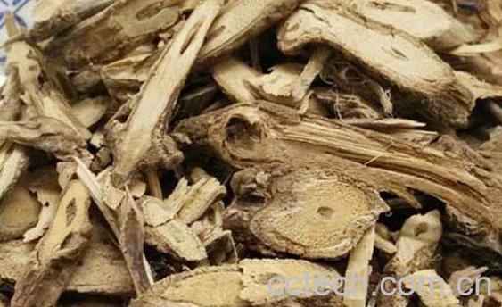 乌骨藤和通关藤的区别 乌骨藤的功效-1