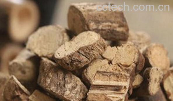 通光藤的功效与作用有哪些-1