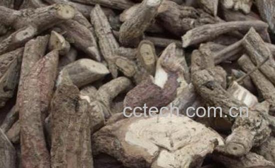 云南苦藤的功效与作用及药用价值-1