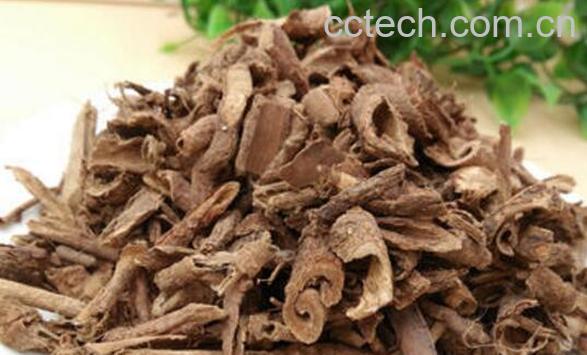 五加皮的功效与作用 五加皮的药用价值与副作用-0