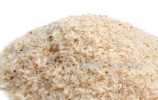 车前子壳的功效与副作用-1