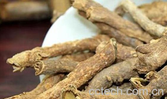 五加皮的功效与作用 五加皮的药用价值与副作用-1