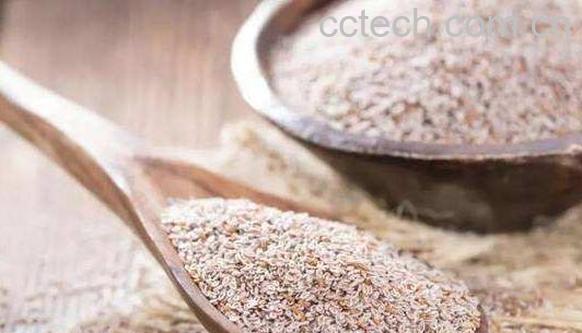 车前子壳的功效与副作用-0