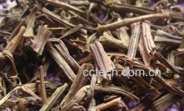 干丝瓜藤的功效与作用-1