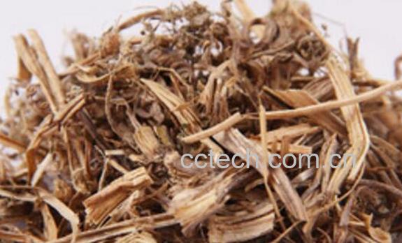 干丝瓜藤的功效与作用-0