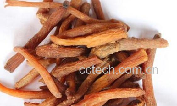 红参多肽对皮肤有什么好处-1