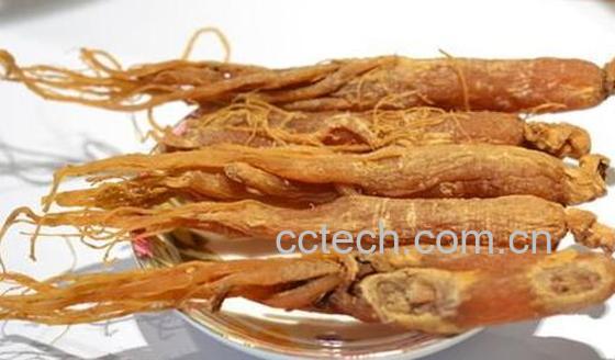 女性吃红参的功效与禁忌-0