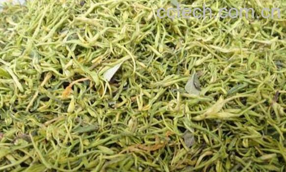 土银花的功效与作用有哪些-0