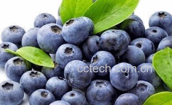 白藜芦醇的功效与作用-0