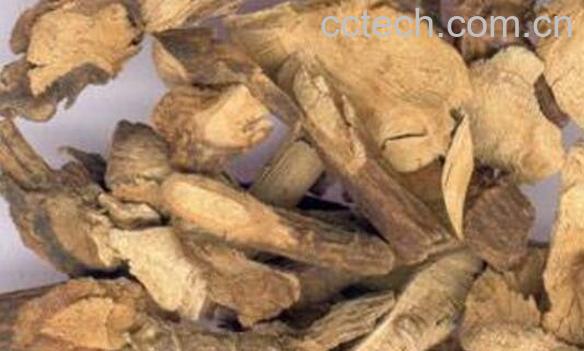 北豆根的功效与作用及禁忌-1