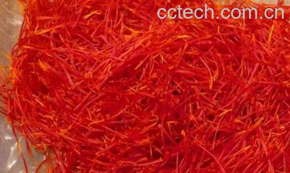 西红花和藏红花的区别-0