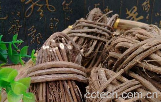 香藤根泡酒的功效和作用-0