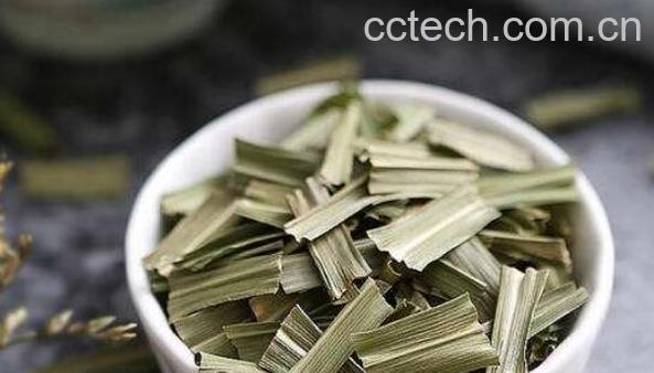 香毛草的功效与作用-1