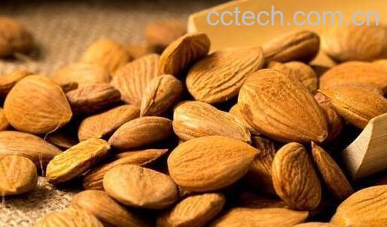 生杏仁的功效和作用-0