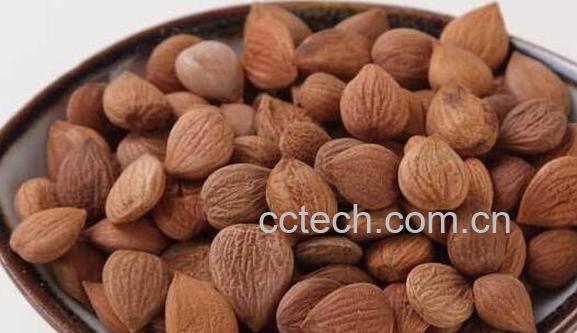 生杏仁的功效和作用-1