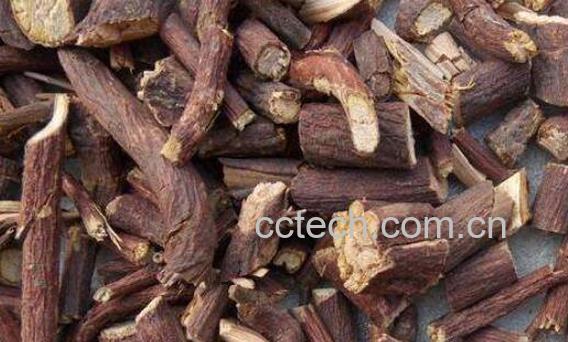 夜交藤的功效与作用有哪些-1