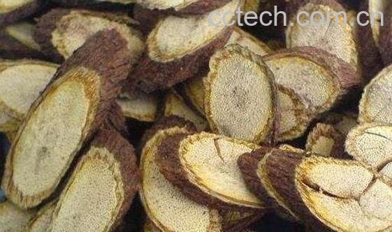 夜交藤的功效与作用有哪些-0