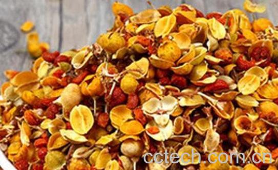 合欢花的功效与作用及禁忌-1