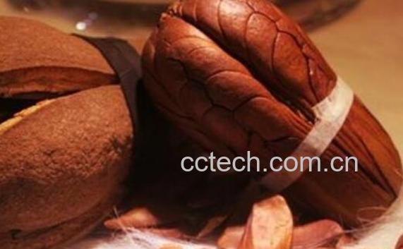 向天果的功效与作用 向天果的副作用-1