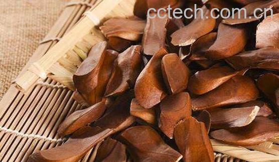 向天果的功效与作用 向天果的副作用-0