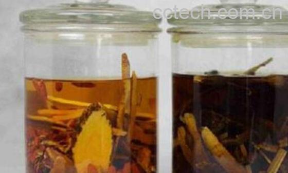 何首乌酒的功效与作用-0