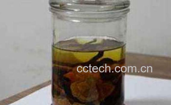 何首乌酒的功效与作用-1