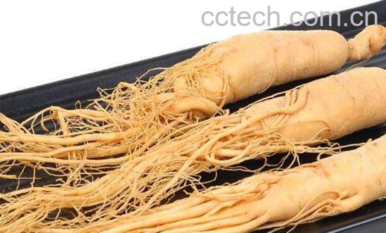 朝鲜白参的功效与作用-1