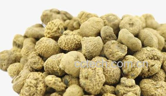 元胡的功效与作用 元胡的副作用-0