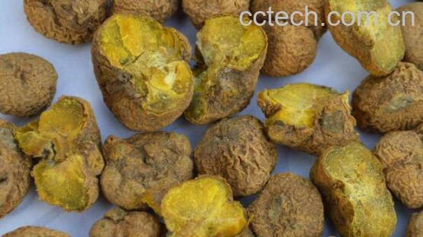 元胡的功效与作用 元胡的副作用-1