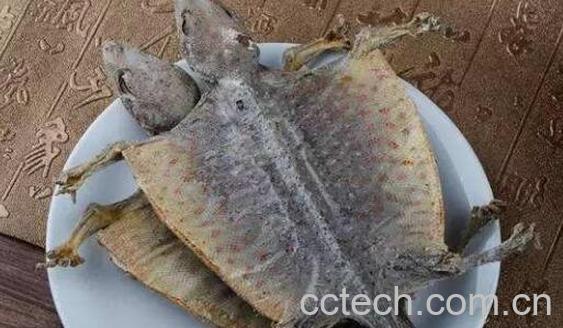 蛤蚧油怎么吃 蛤蚧油的食用方法-0