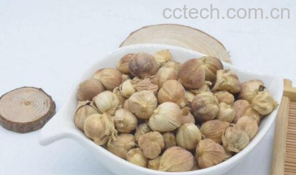 寇仁的功效与作用及药用价值-0