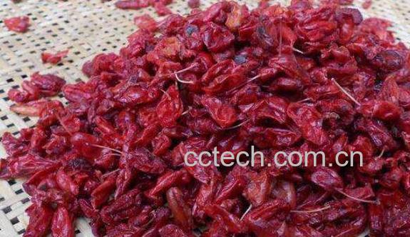 制山茱萸与酒萸肉的区别 酒萸肉的功效-0