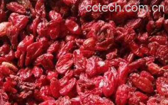 制山茱萸和不制的区别 吃山茱萸的好处-1