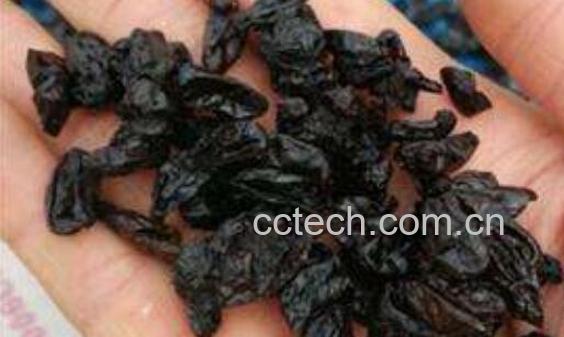 制山茱萸的功效与作用及禁忌-1