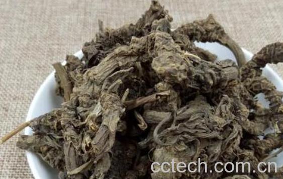 马蹄香根的功效与作用及副作用-1